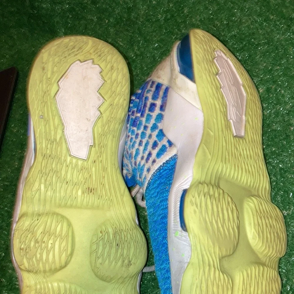 Lebrons - Picture 6 of 7